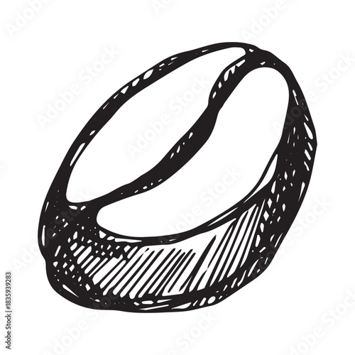 Hand drawn fresh roasted coffee bean Arabica robusta seed doodle Single element for print, web, design, decor