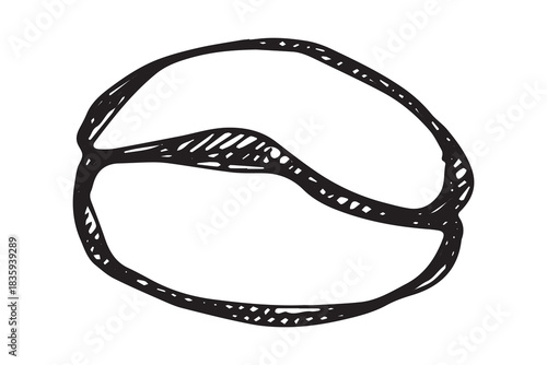 Hand drawn fresh roasted coffee bean Arabica robusta seed doodle Single element for print, web, design, decor
