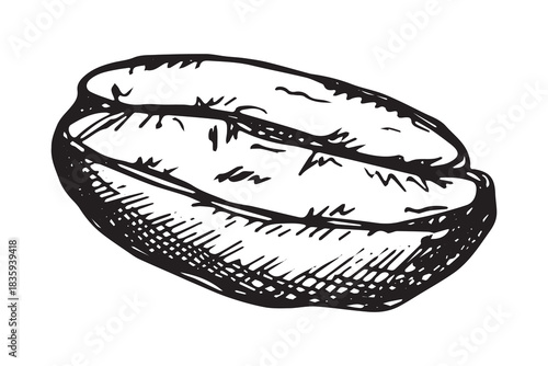 Hand drawn fresh roasted coffee bean Arabica robusta seed doodle Single element for print, web, design, decor