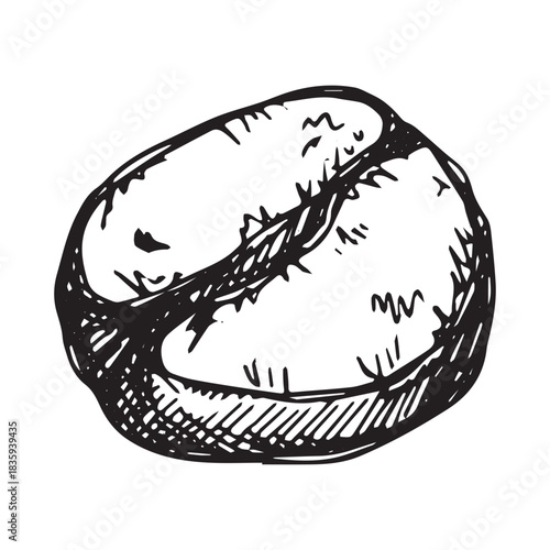 Hand drawn fresh roasted coffee bean Arabica robusta seed doodle Single element for print, web, design, decor