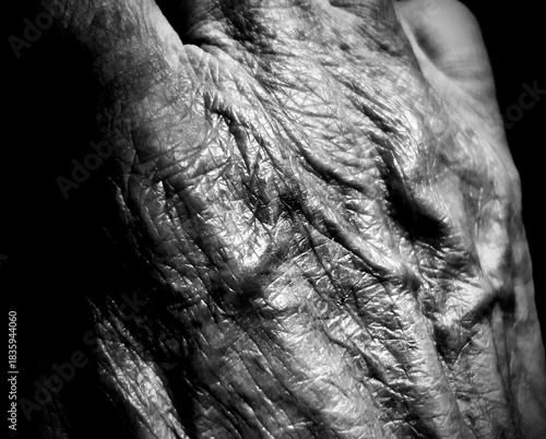 hands of old man