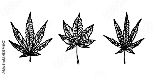 Set of hand drawn cannabis leaf Medicine marijuana Hemp leaves clipart in doodle style Single element for print, web, design, decor