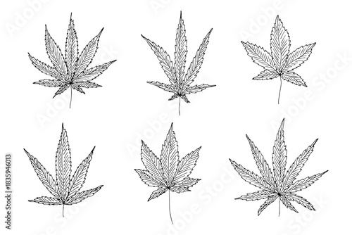 Set of hand drawn cannabis leaf Medicine marijuana Hemp leaves clipart in doodle style Single element for print, web, design, decor