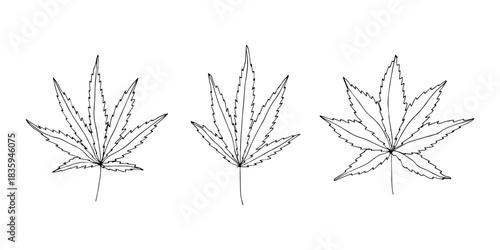 Set of hand drawn cannabis leaf Medicine marijuana Hemp leaves clipart in doodle style Single element for print, web, design, decor