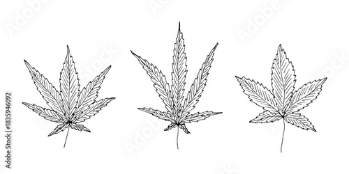 Set of hand drawn cannabis leaf Medicine marijuana Hemp leaves clipart in doodle style Single element for print, web, design, decor