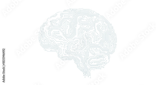 Stylized White Brain Outline with Intricate Internal Structure.
