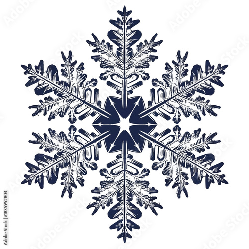 Intricate Six-Pointed Snowflake Illustration with Detailed Crystalline Structure