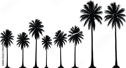 Black silhouette of multiple palm trees of varying heights against a white background