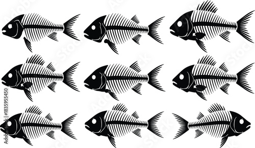 Nine black fish skeletons arranged in three rows of three on a white background fish bones
