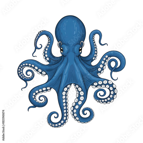 A highly detailed, realistic octopus vector illustration rendered in a clean flat 2D style, isolated on a stark white background.