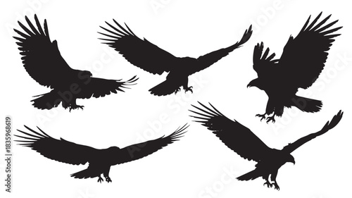 Eagle silhouettes in various flying poses vector illustration of birds of prey isolated on white background