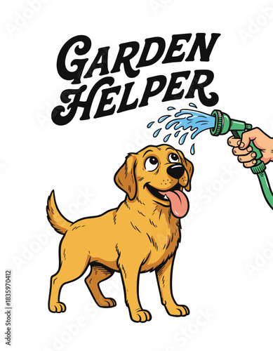 Garden Helper Golden Retriever Getting Sprayed by Hose, Cute Dog vector