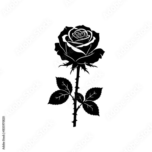 Black rose silhouette isolated on transparent background
