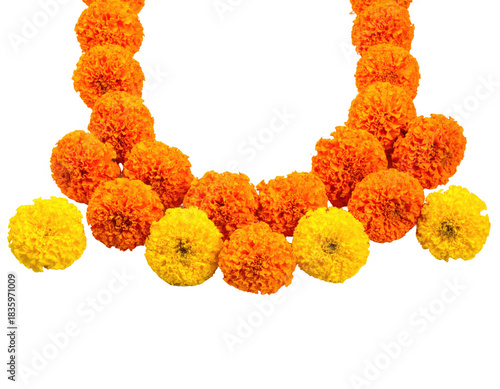 Colorful marigold garland against a black background. Bright orange and yellow flowers