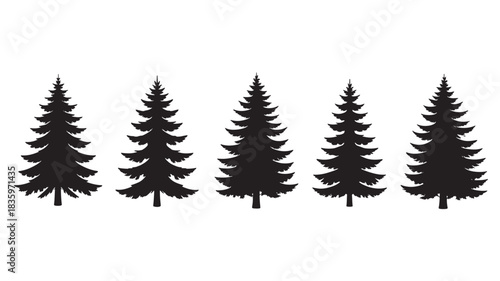 Set of five black pine tree silhouettes for nature design and winter holidays, isolated on white background