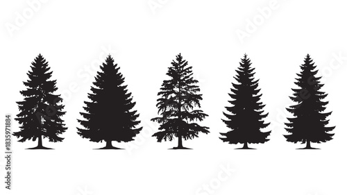 Set of black pine tree silhouettes for nature design and forest landscapes, isolated on white background