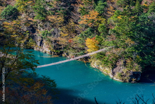 秋の寸又峡と夢の吊り橋