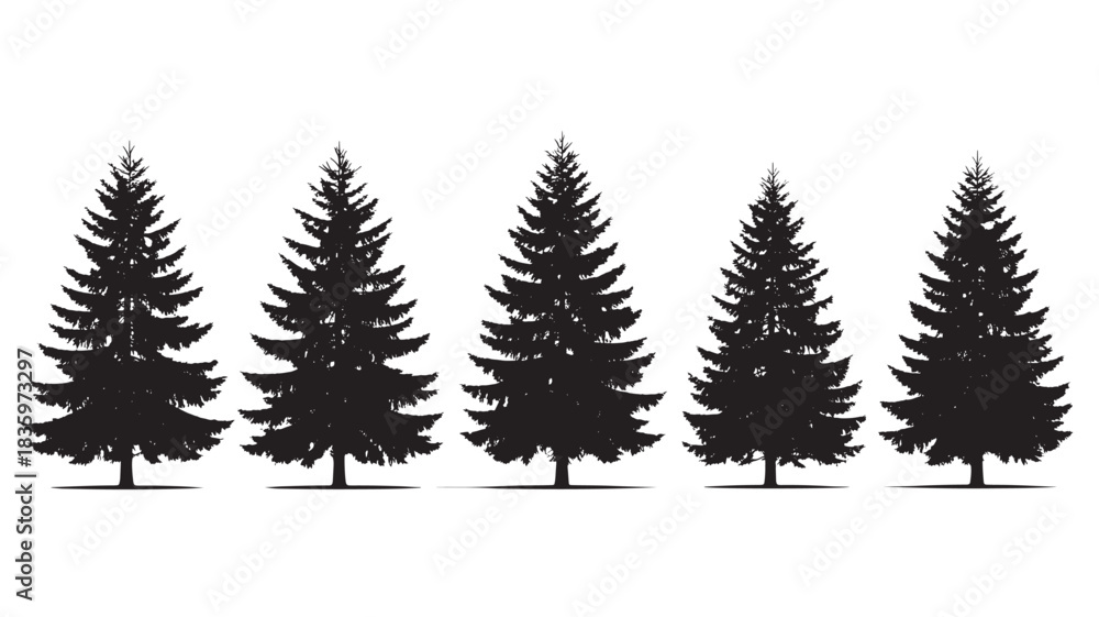 Obraz premium Set of evergreen tree silhouettes simple vector design isolated on a white background for winter and Christmas designs