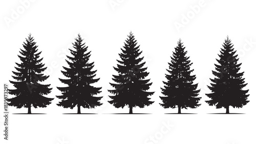 Set of evergreen tree silhouettes simple vector design isolated on a white background for winter and Christmas designs