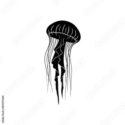 Black jellyfish silhouette isolated on transparent background