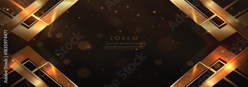 Elegant dark brown background with golden line and lighting effect sparkle. Luxury template award modern design.