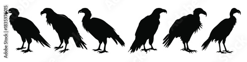 big griffon vulture silhouette vector bundle flying vulture 