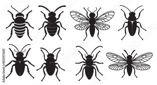 black insect silhouettes with detailed wings and segmented