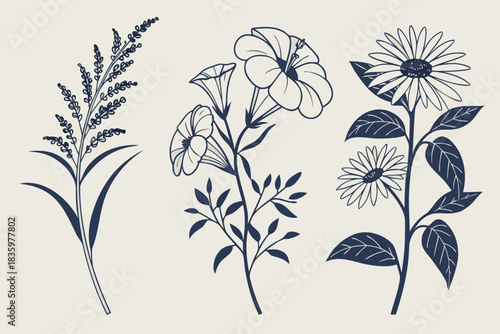 Minimalist floral icon set celebrating september plants with botanical illustrations