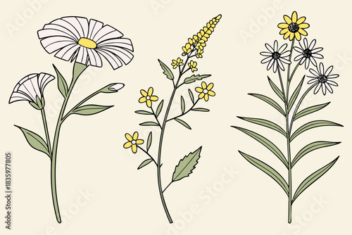 Minimalist floral icon set for september plants and autumn themes
