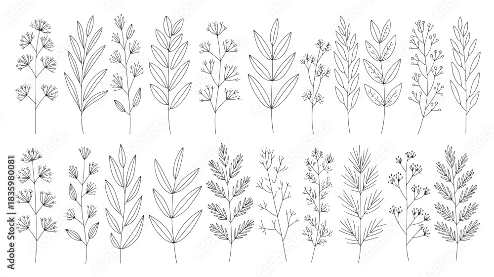 Fototapeta premium Set of botanical line art illustrations delicate floral elements for wedding invitations elegant vector design isolated on white background