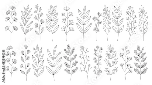 Set of botanical line art illustrations delicate floral elements for wedding invitations elegant vector design isolated on white background