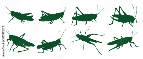 grasshopper silhouette image set collection