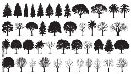 Set of tree silhouettes diverse vector collection of deciduous and coniferous trees isolated on white background