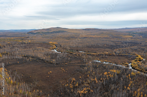 Aerial view of the autumn forest and river in the Shibawan scenic area of ​​Mohe, Greater Khingan Mountains.