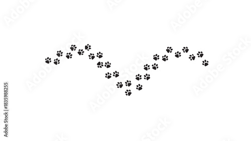 Paw print trail forms a wave isolated on white background, animal footprints leading the way across the surface