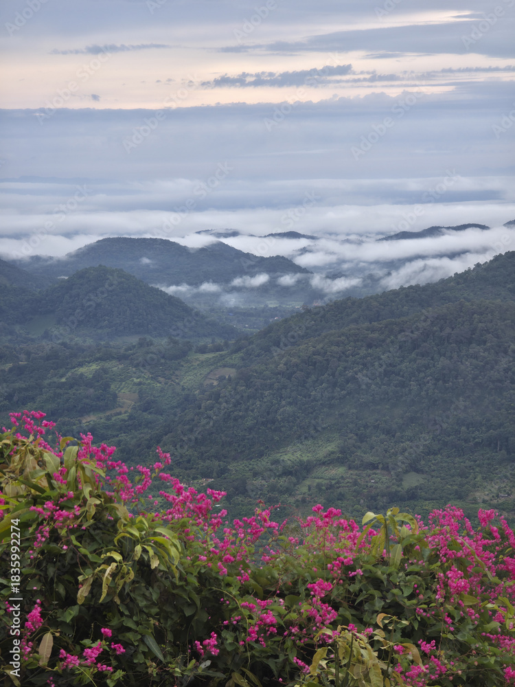 Obraz premium Serene mountain landscape with majestic view of tropical forest valley filled with morning mist. Beautiful pink flowers in foreground create peaceful scene