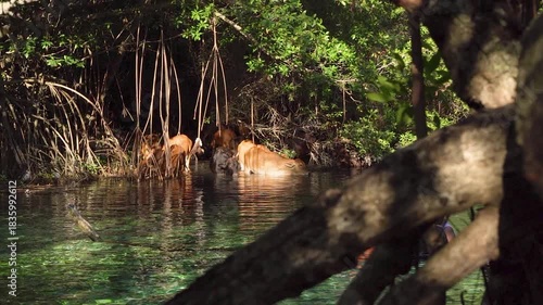 Cabo Rojo, ubicado en el extremo suroeste de la República Dominicana, pertenece a la provincia de Pedernales, la más meridional del país