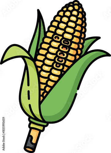 Illustration of a Fresh Ear of Corn with Green Husks.
