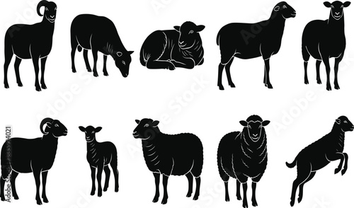 Collection of black sheep and ram silhouettes in various poses on white background