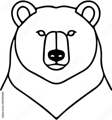  bear vector illustration