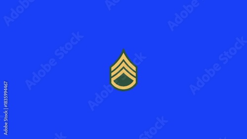 Rank animation