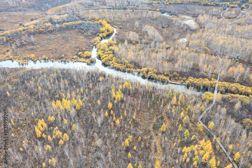Aerial view of the autumn forest and river in the Shibawan scenic area of ​​Mohe, Greater Khingan Mountains.