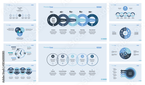 Ten Management Slide Templates Set