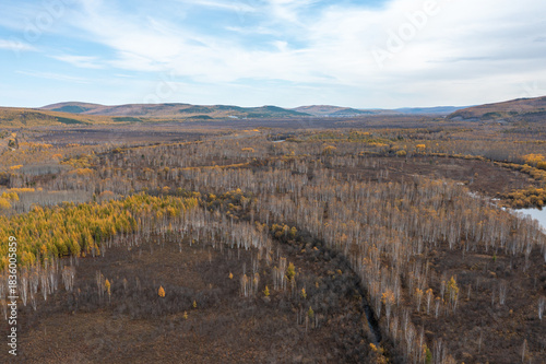 Aerial view of the autumn forest and river in the Shibawan scenic area of ​​Mohe, Greater Khingan Mountains.