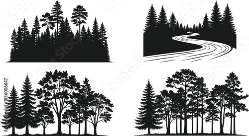 Conifer Trees, Mixed Woods, and a Winding River Road through Pine Woods, Ideal for Outdoor and Nature Designs