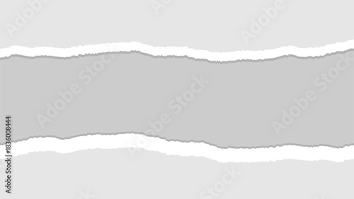 Ripped paper. Vector of ripped paper. the paper was ripped background.