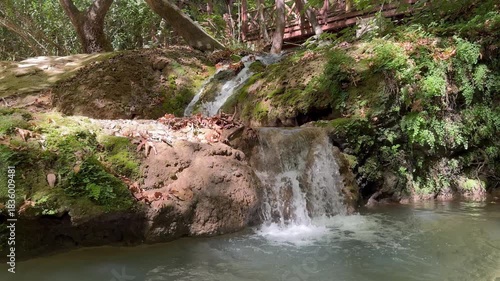 Waterfall wooden bridge. High quality photo