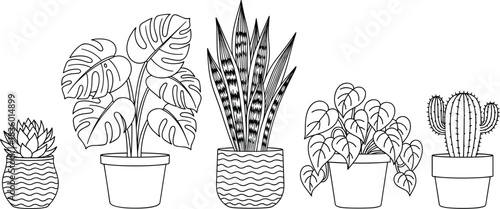 Potted houseplant collection line art illustration, indoor tropical plants and cactus vector set for coloring pages, prints, decor, design