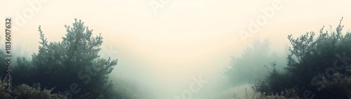 A tranquil foggy landscape featuring dense greenery and mist enveloping the path, creating a serene and mystical atmosphere.