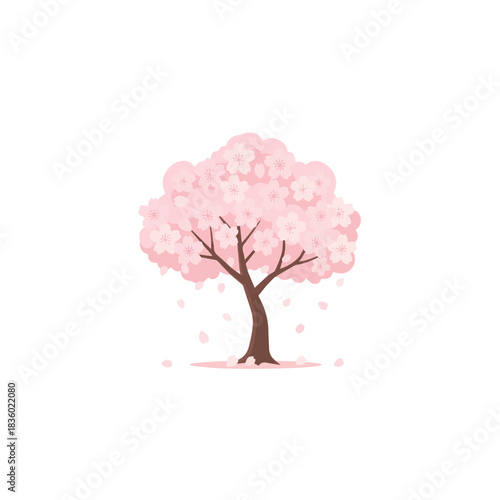 Sakura fallen cherry blossoms